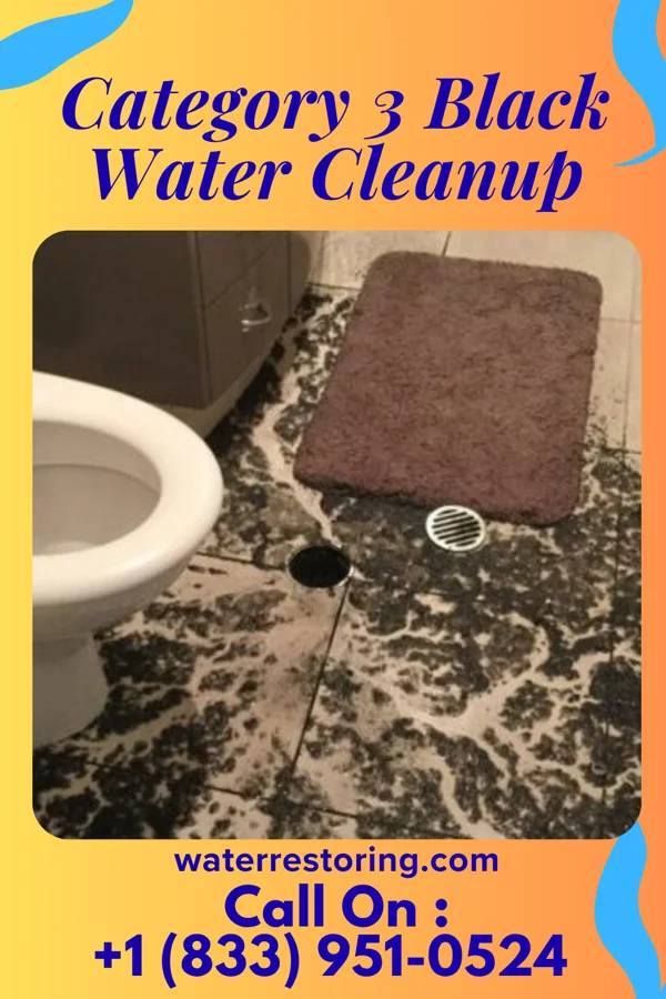 Category 3 Black Water Cleanup in Marietta, MS