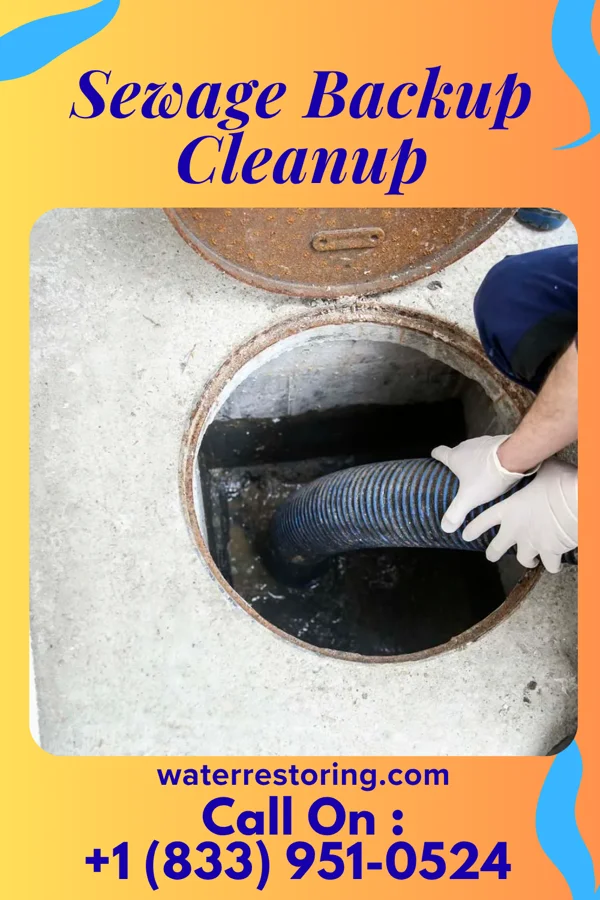 Sewage Backup Cleanup in Marietta, MS